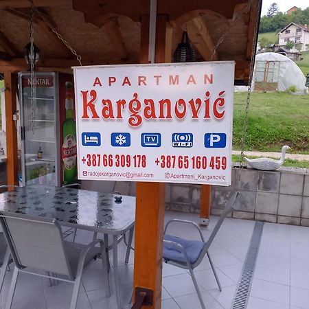 Apartman Karganovic Βίσεγκραντ Εξωτερικό φωτογραφία